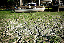 美國(guó)遭受56年來(lái)最嚴(yán)重干旱 農(nóng)牧業(yè)受挫