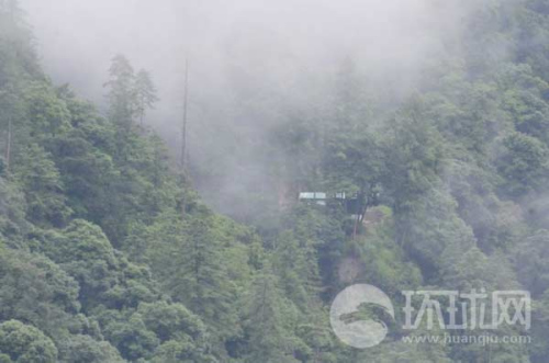 ��ӡ߅����ӡ܊���(b��o)վ���[��ԭʼɭ������