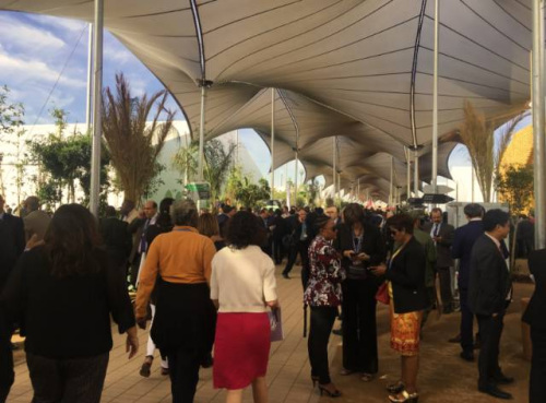 �R������������F(xi��n)����<a target='_blank' >������</a>�፹ �z��