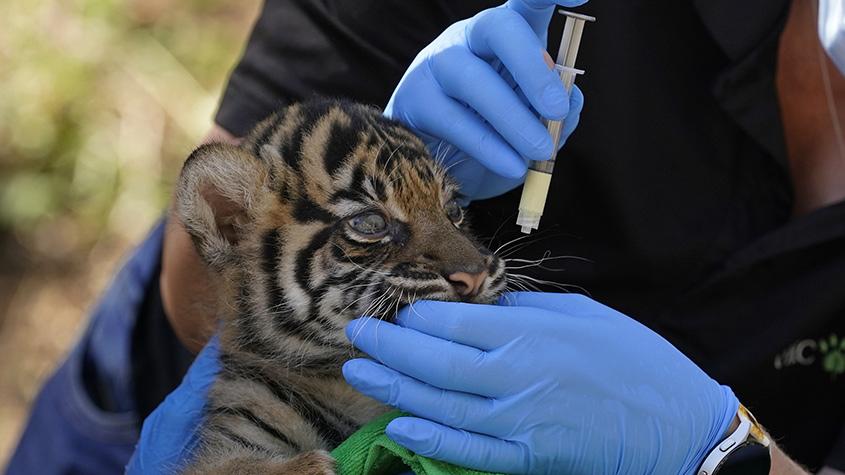 瀕?；⒂揍踢M行體檢