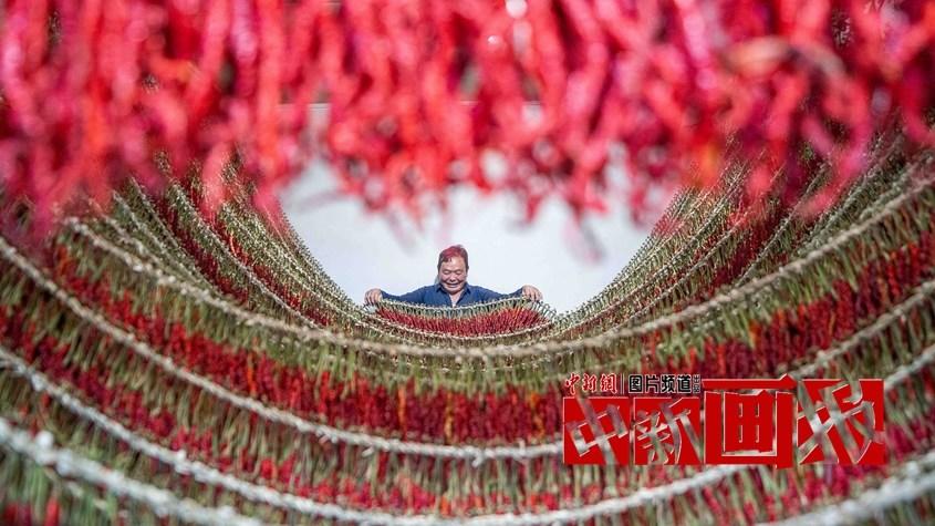 曬秋時間到！遍地斑斕好“豐”景