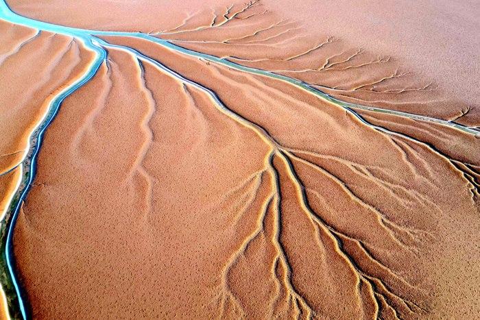 山東東營：黃河入?？诂F(xiàn)“潮汐樹”景觀