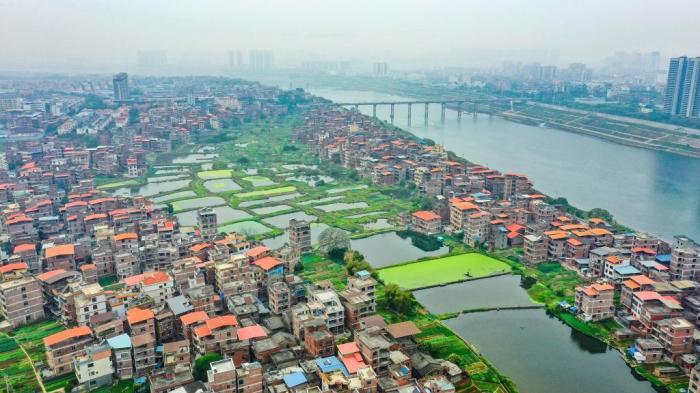 廣西梧州：生態(tài)蔬菜基地春意盎然