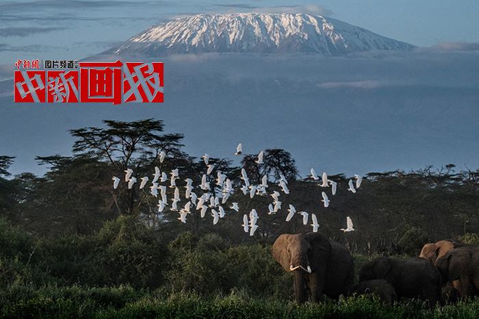 世界地球日 給未來(lái)的地球明信片