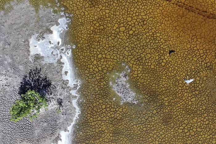 美國(guó)佛州缺少降雨導(dǎo)致大面積土地龜裂