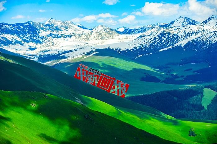 將夏天的“綠” 裝進(jìn)屏幕里，一組護(hù)眼壁紙請(qǐng)查收！