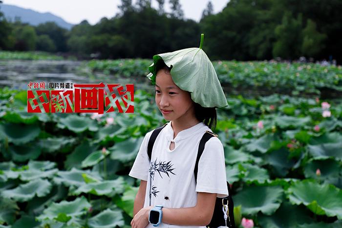 入伏有“涼”方 “花式”避暑輕松Get！