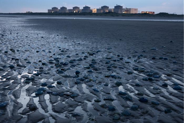 法國(guó)最大核電站因大量水母入侵導(dǎo)致停運(yùn)