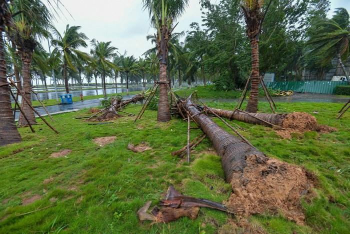 強(qiáng)臺(tái)風(fēng)“麥德姆”攜強(qiáng)風(fēng)雨影響?？?>
     <p>強(qiáng)臺(tái)風(fēng)“麥德姆”攜強(qiáng)風(fēng)雨影響海口</p>
</a>
        </div>
    </div>
    <!--推薦圖集end-->
    <div   id=