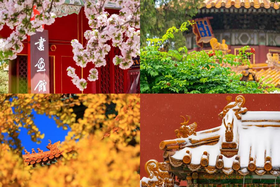 百歲快樂！一組圖領(lǐng)略故宮四季流轉(zhuǎn)之美