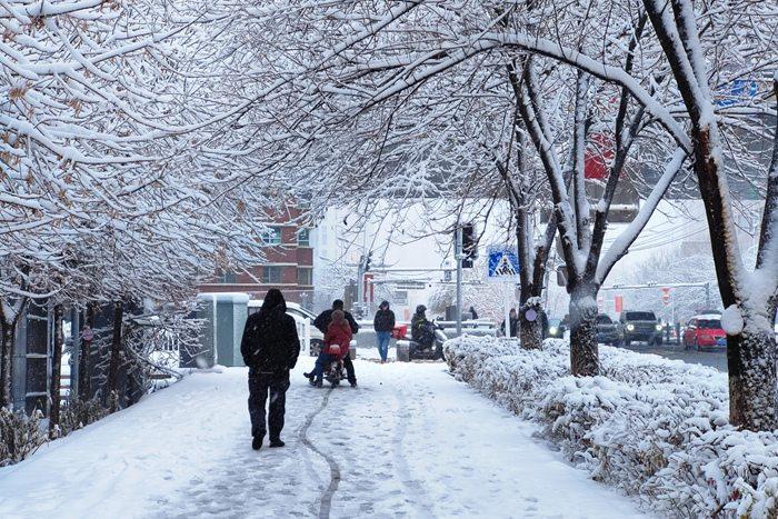 烏魯木齊迎大暴雪 24小時降水量破紀錄