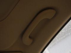 ������ÿ����nϵ܇���w�Forte�����