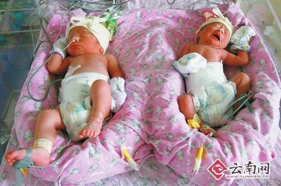女子產(chǎn)下1男3女四胞胎(組圖)