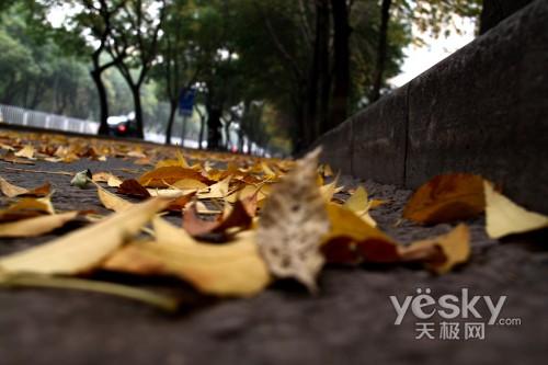 本周數(shù)碼相機市場 消費者關(guān)注度前十熱機