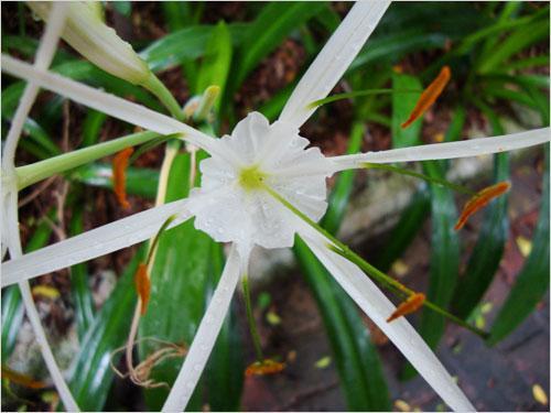 ���ܔ�(sh��)�a���C�Ј� ���M���P(gu��n)ע��ǰʮ��C