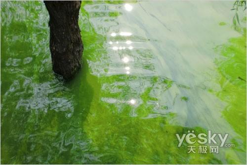 太空小丑平安著陸 智能長(zhǎng)焦數(shù)碼相機(jī)推薦