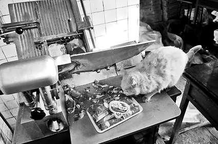 �и�õ���Ƭ�������ϵİ�ɫ��������؈���f����������Ƭ��ؓ(f��)؟(z��)�и���Ƭ��Ů�Ӵ󲿷֕r��ҕ����Ҋ ���M�DƬ ����ӛ�� ���� �z