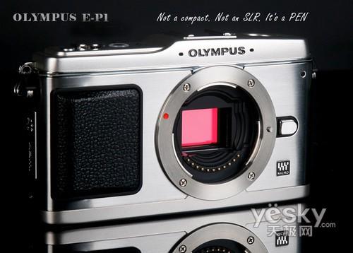 從各品牌新品看09年數(shù)碼相機(jī)市場(chǎng)走向