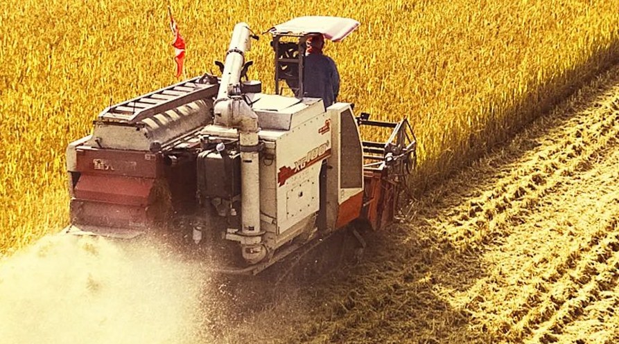 “察實情、辦實事、求實效”，這十句話，振奮人心！