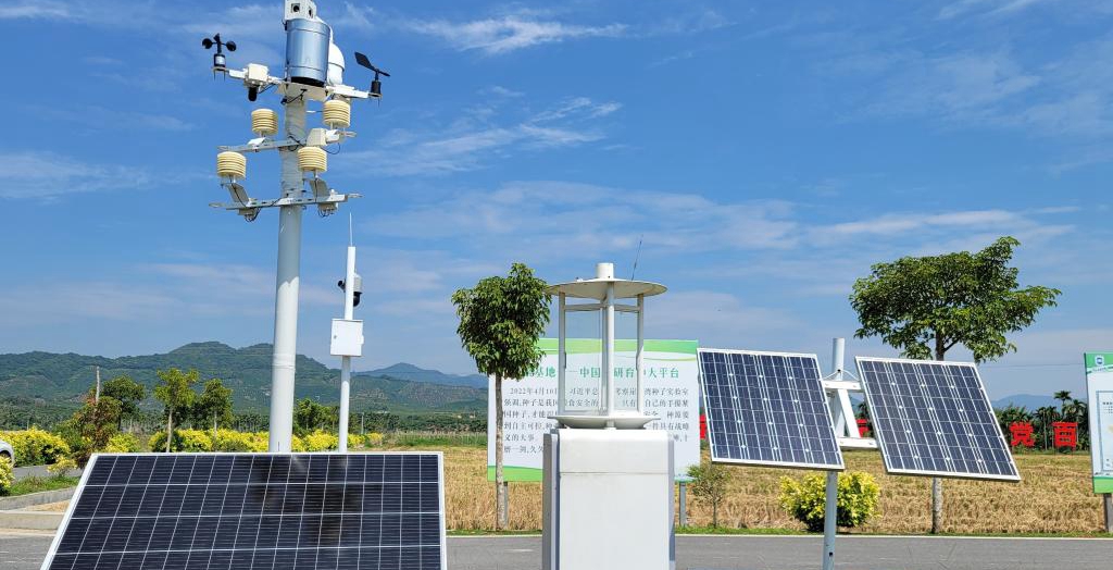 探訪在種業(yè)科研和創(chuàng)業(yè)熱土中成長的三亞“南繁硅谷”<p>晚秋的三亞，午間陽光依然炙熱。在崖州區(qū)壩頭南繁基地，由太陽能電池板提供能源，生態(tài)監(jiān)測系統(tǒng)、物聯(lián)網(wǎng)蟲情信息采集系統(tǒng)不間斷工作。<p>