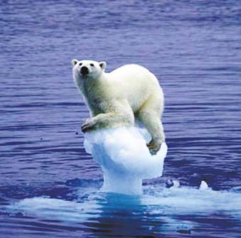 ��(y��ng)��(du��)���׃����ȫ���Є�(d��ng)