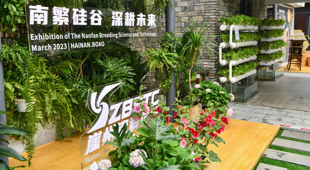 三亞攜南繁果實、深海利器亮相博鰲亞洲論壇年會