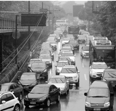 杭州無(wú)車(chē)日遇臺(tái)風(fēng)網(wǎng)上點(diǎn)贊:天天這樣就好了(圖)