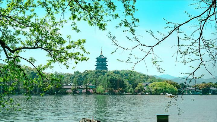 江山如此多嬌 | 西湖美景，八月天吶