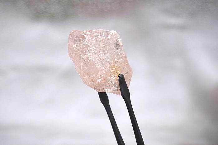 最大粉鉆長啥樣？