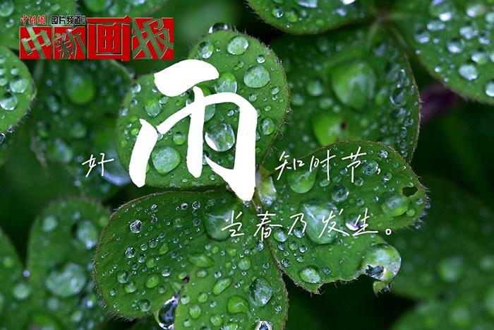 世界讀書日 把詩(shī)詞春天寫進(jìn)春天里