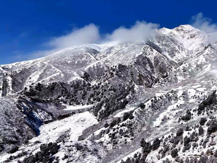 航拍冬日祁連山：雪覆山巒林海凝霜