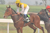 ِ�R�܂���������